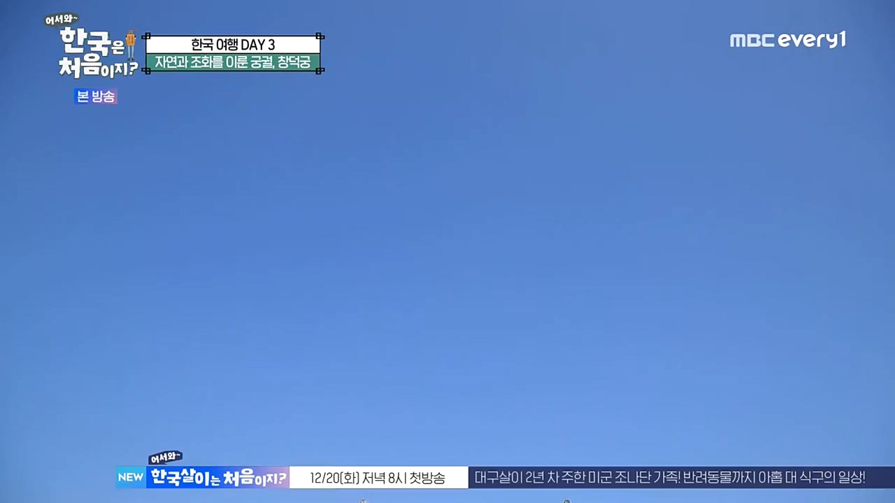 어서와 한국은 처음이지 시즌2.E241.221216p-NEXT.mp4_20221216_201249.606.jpg