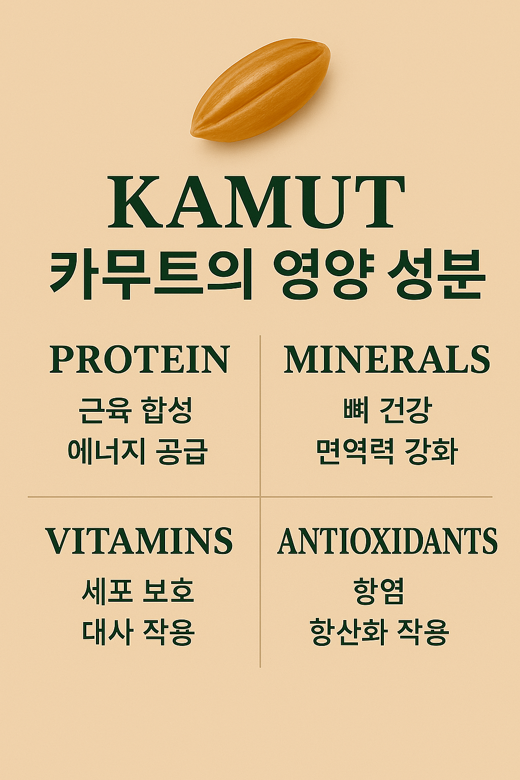 카무트, 그 속에 숨겨진 놀라운 영양: 영양 성분 완벽 분석