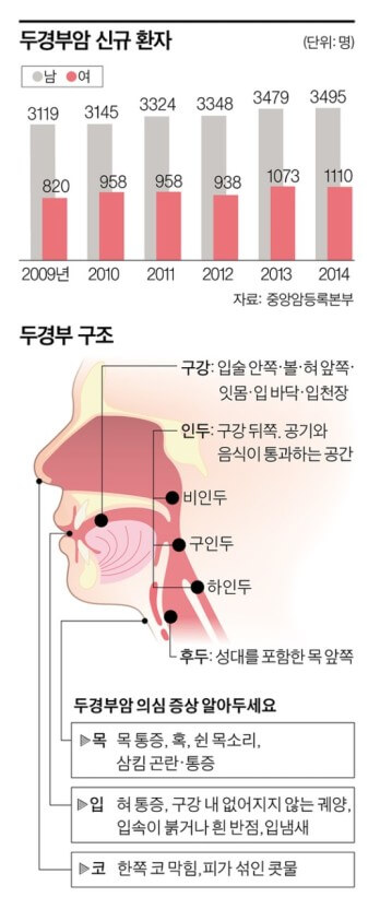 두경부암 증상과 환자수