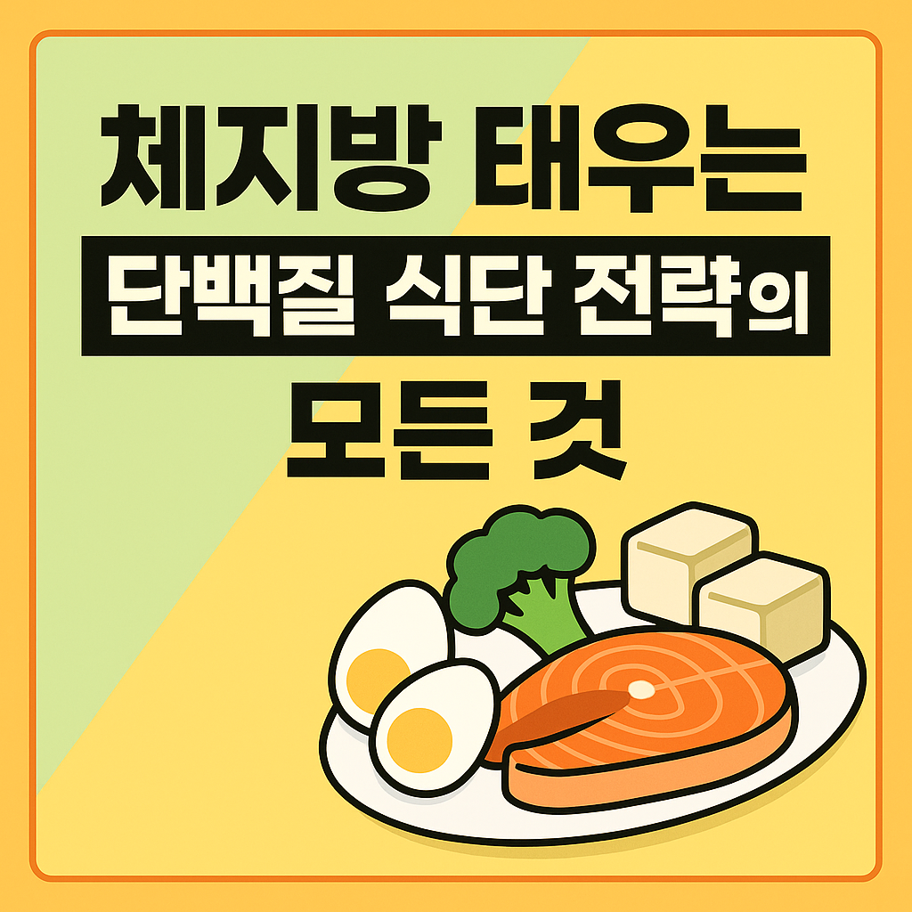 단백질 식단 전략의 모든 것