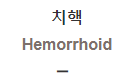  치핵 [Hemorrhoid]