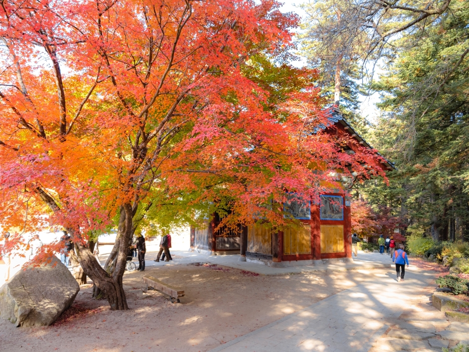 강원도 해돋이 명소&amp;#44; 월정사 정보 / 사진 = 대한민국 구석구석