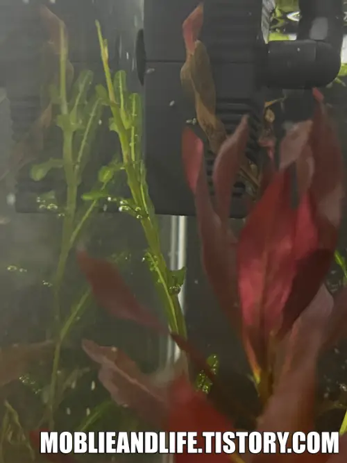 착한충전소 이미지