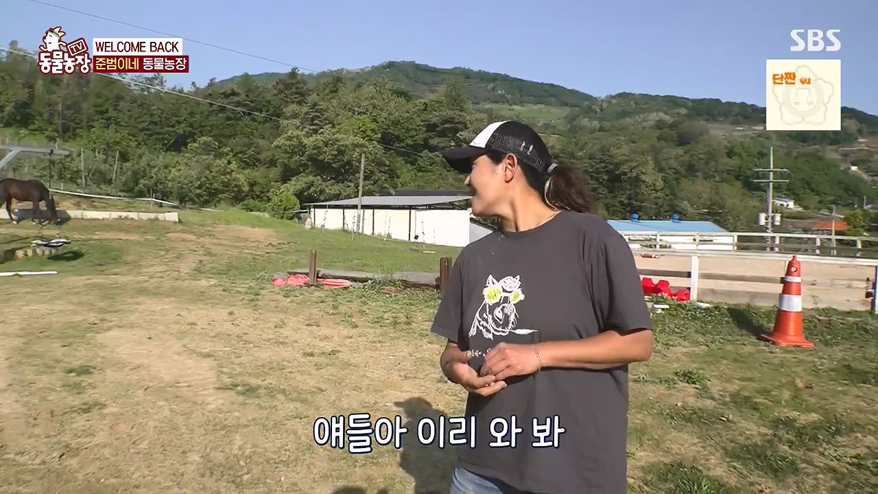 TV 동물농장.E1178.240630.ts_20240630_164639.404.jpg