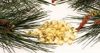 천비솔 의견 “다이어트 후유증” 4