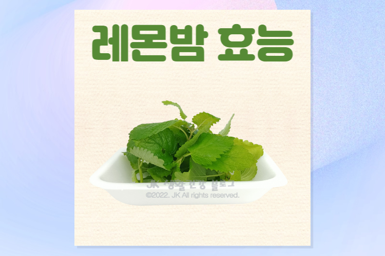  레몬밤 효능 레몬밤차 레몬밤티 분말 부작용