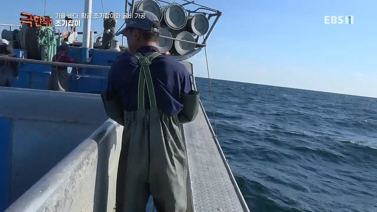 TV - 교육의 중심 EBS가을 바다 황금 조기잡이와 굴비 가공.mp4_20221122_195438.197.jpg