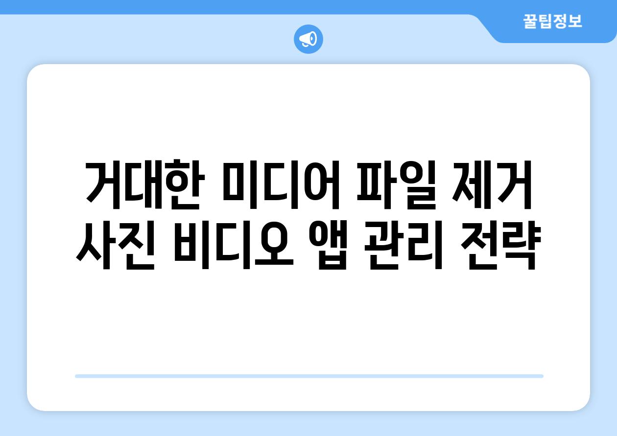 거대한 미디어 파일 제거 사진 비디오 앱 관리 전략