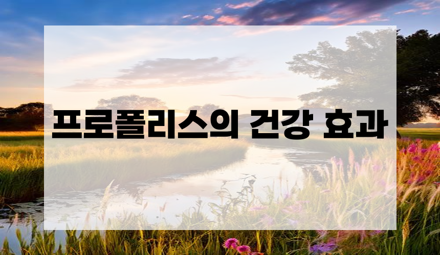 프로폴리스의 건강 효과