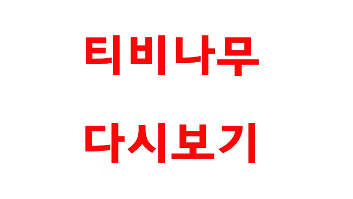  tvnamu(티비나무) 다시보기 바로가는 방법