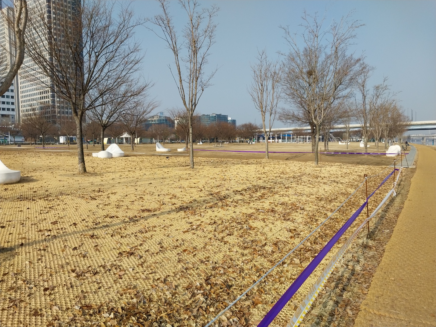 2월의 여의도 한강공원