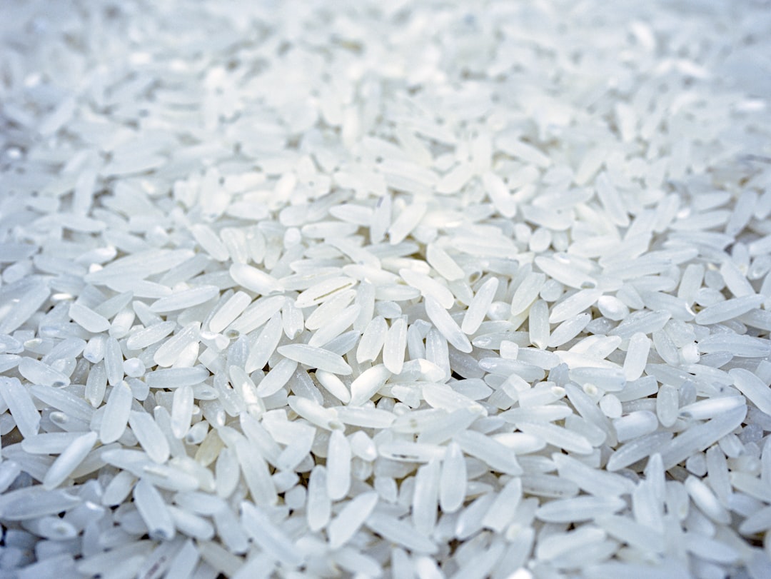 Rice