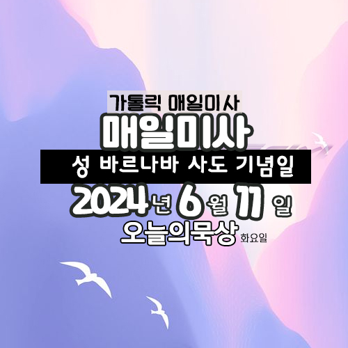 6월 11일 매일미사