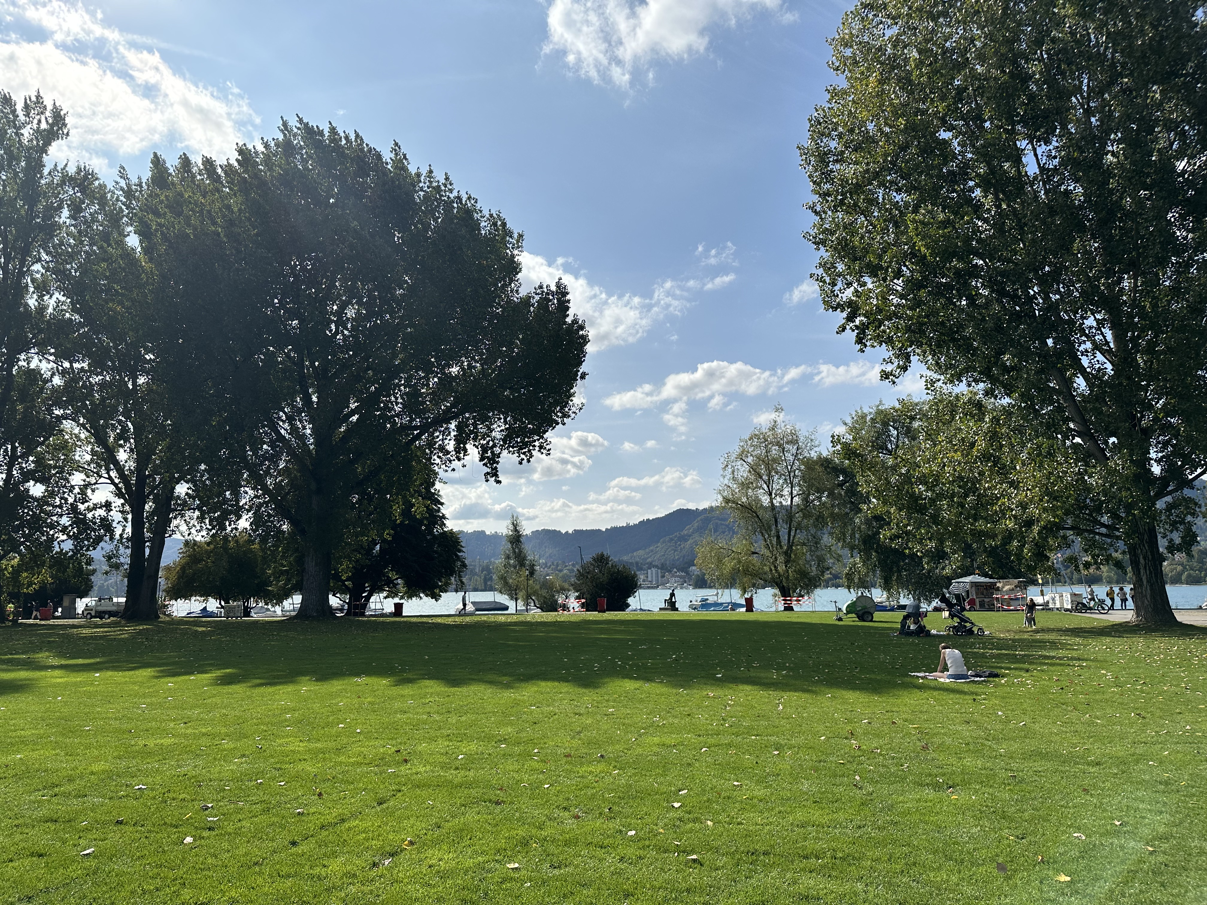 IMG_8830.jpeg