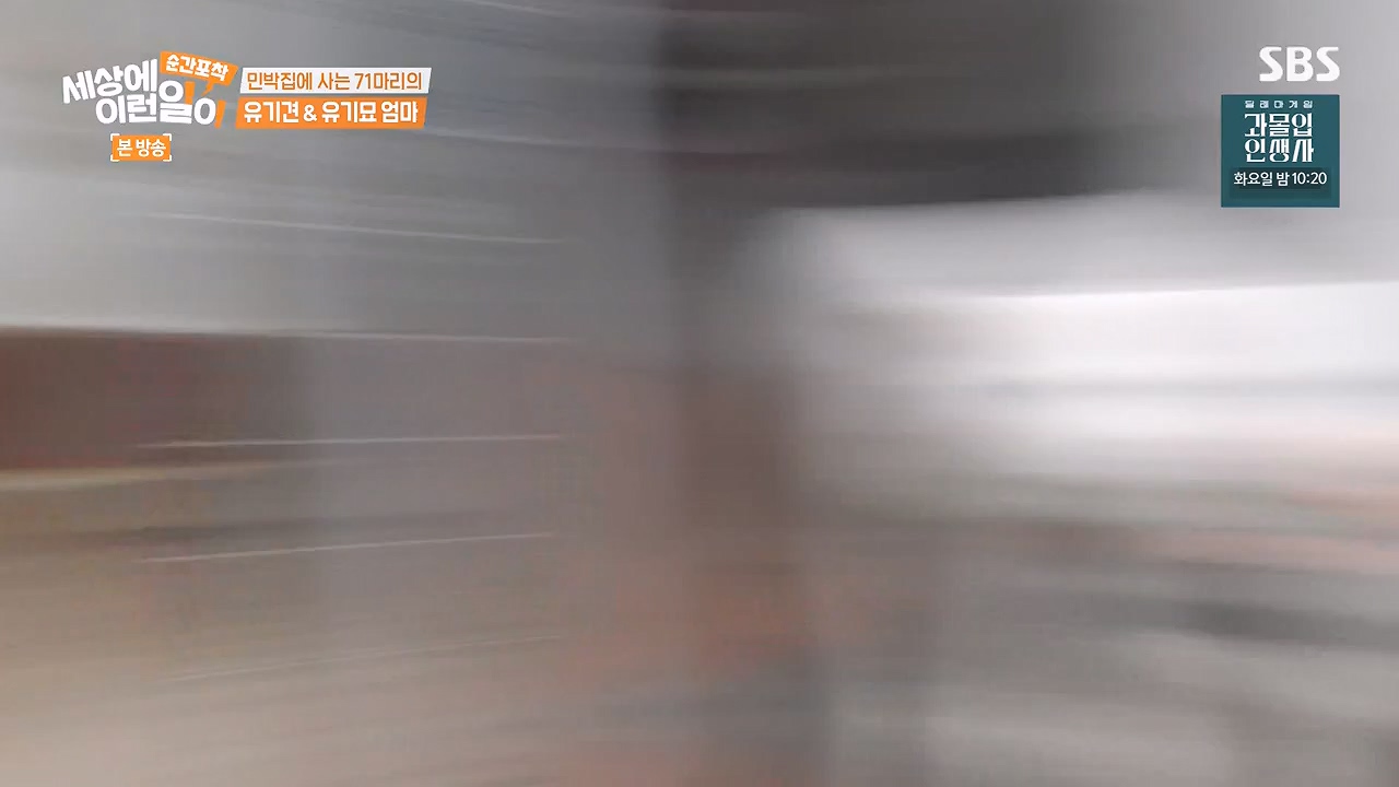 순간포착 세상에 이런일이.E1244.230903p-NEXT.mp4_20230903_173251.102.jpg