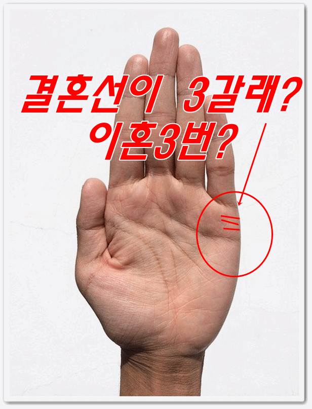  손금운세에서 결혼 선이 많은 사람의 의미는?