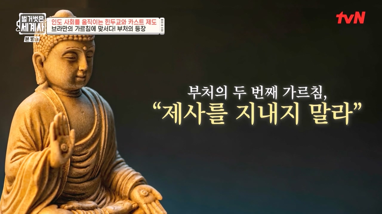 벌거벗은 세계사.E115.230906p-NEXT.mp4_20240406_173744.241.jpg