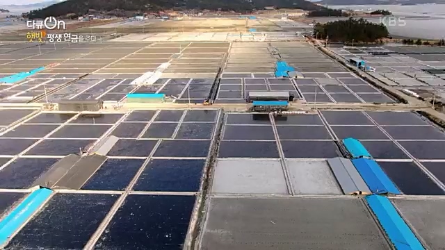 [190회] 다큐온 - KBS지역의 부활 1부 - 햇빛, 평생 연금을 주다] 지방 소멸이 가속화되고 있는 지금 한 지자체에서 실시.ts_20230328_203934.559.jpg