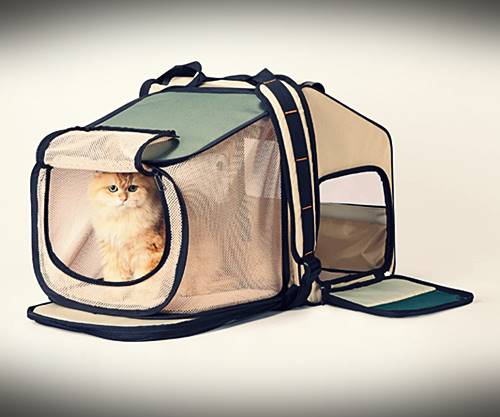 고양이-캐리어-이동가방