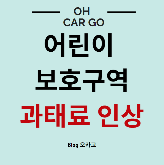 주정차 위반 과태료(주차딱지) 금액 인상, 조회 방법