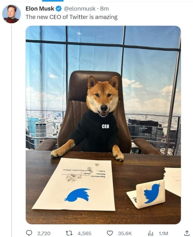 트위터의 새 CEO? The new CEO of Twitter is amazing