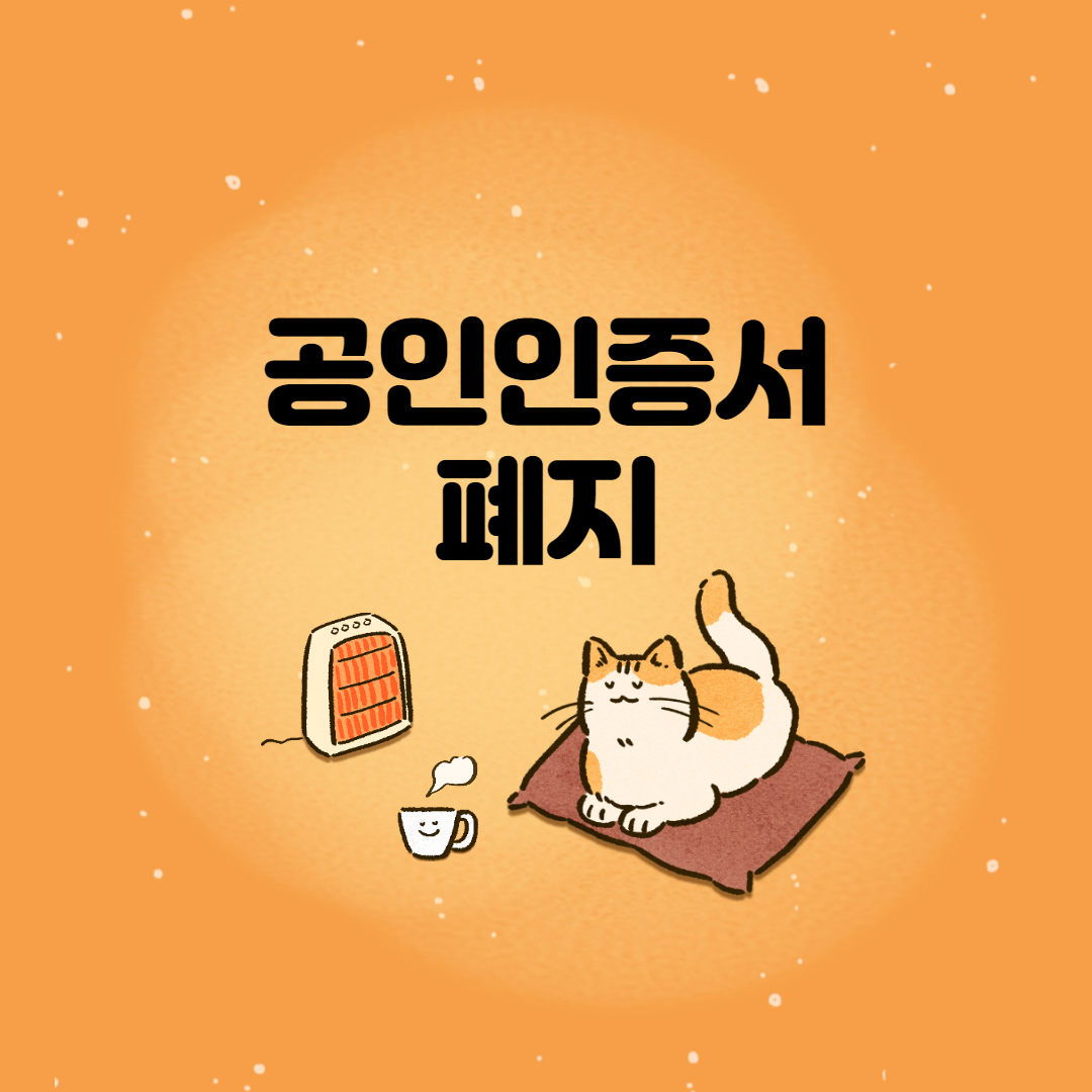  공인인증서 폐지 대안은?