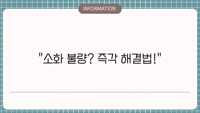 소화 안될때 약