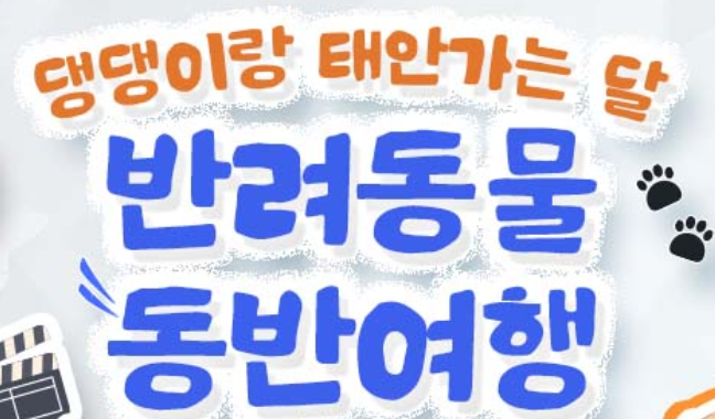 태안 여행 펫니스 미션 투어 최대 10만원 지원받고 여행