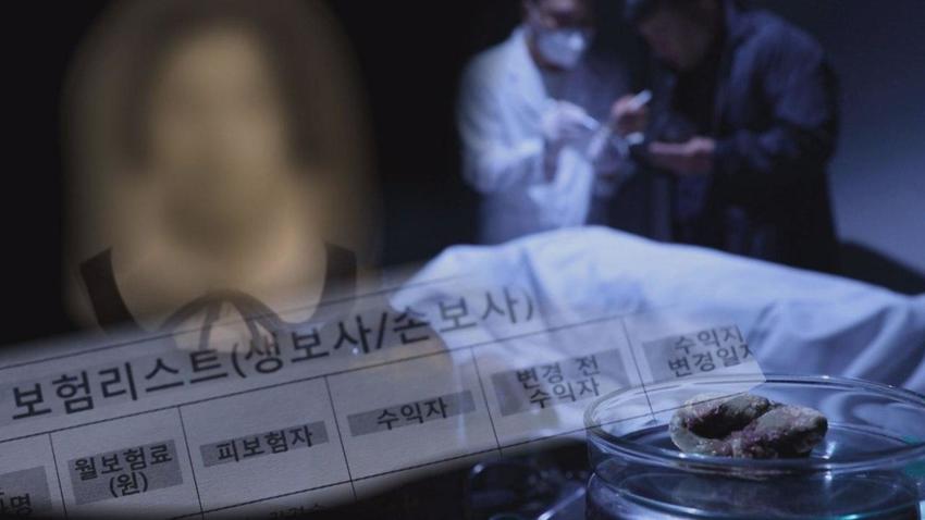   뚜뚜월드