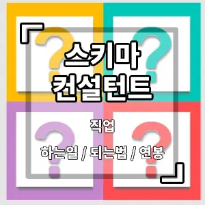 스키마컨설턴트
