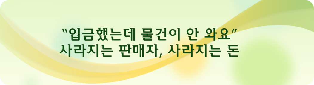 “입금했는데 물건이 안 와요” – 사라지는 판매자, 사라지는 돈