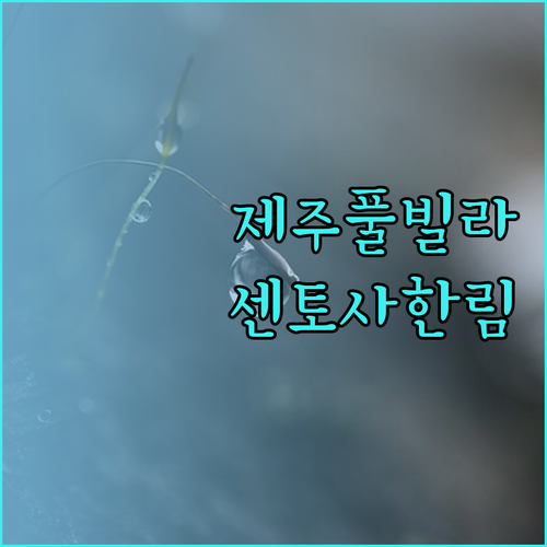 제주 센토사 한림 이국적인 풀빌라에서