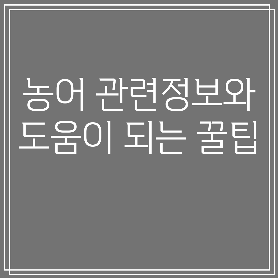 농어관련정보와도움이되는꿀팁