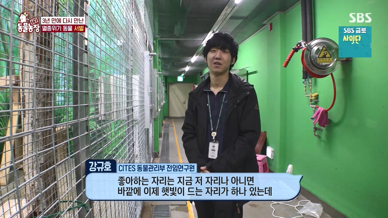 TV 동물농장.E1156.240129p-NEXT.mp4_20240128_191735.547.jpg