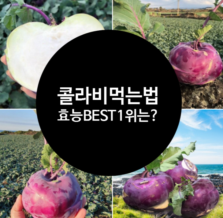  콜라비 먹는법&효능 BEST 3위는 심장병 예방 1위는?