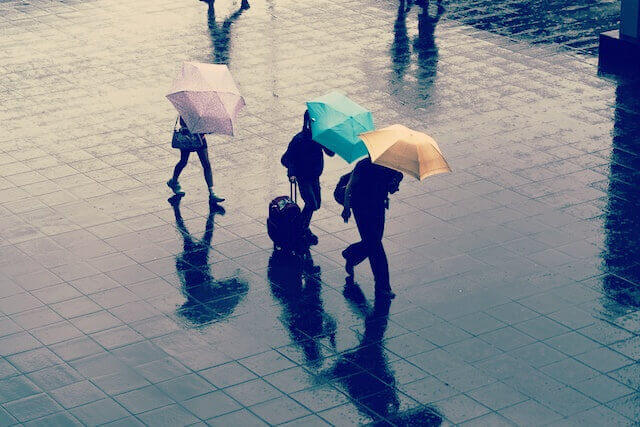 비내리는 날 우산 쓰고 가는 사람들 모습