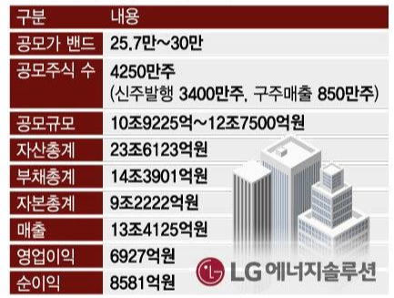LG에너지솔루션 공모 개요 표