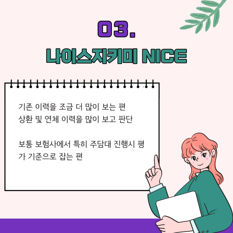 올크레딧, 나이스지키미 중요성 5