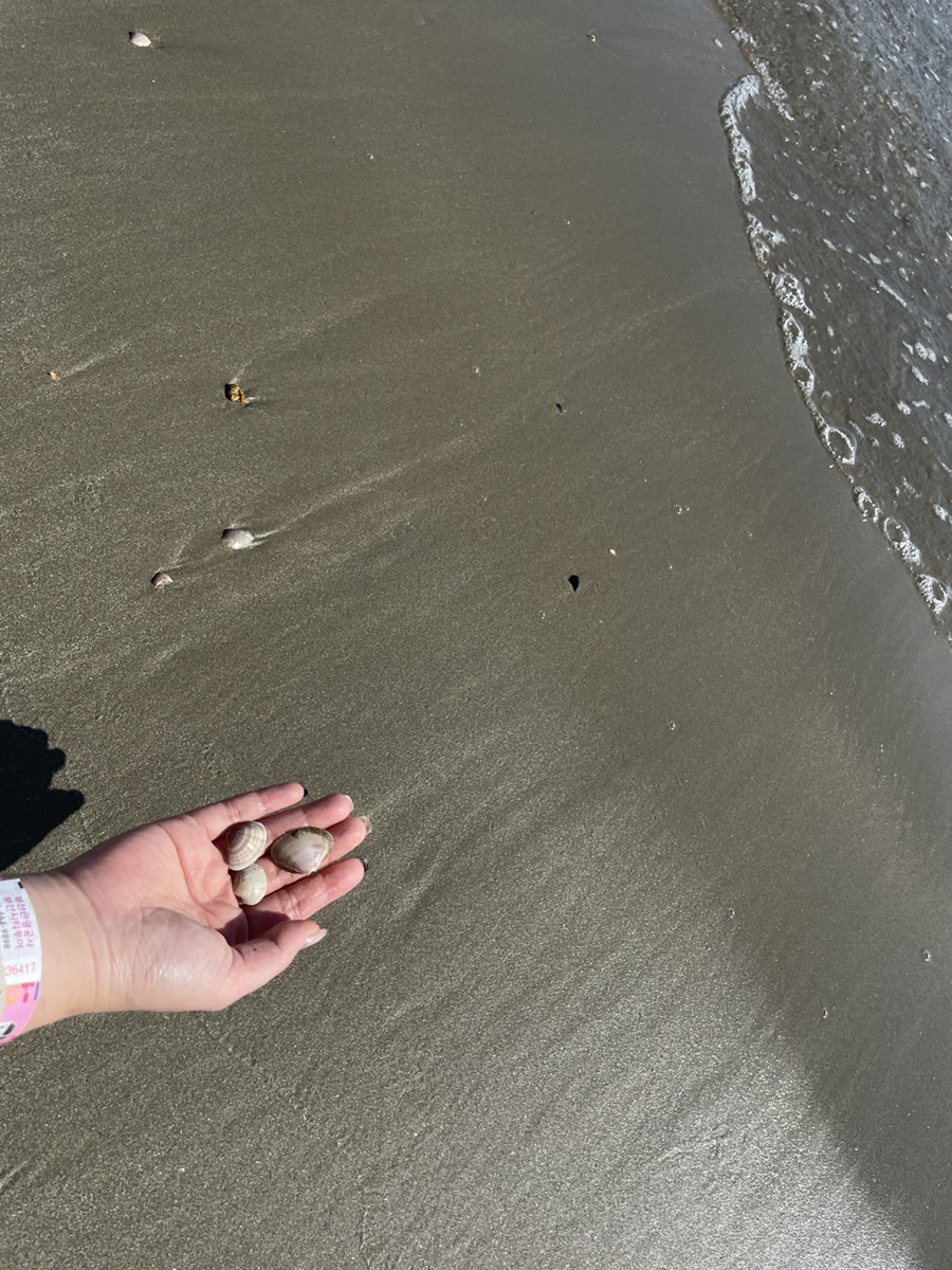 시티투어 광안리 해수욕장 10월 마지막 날 부산여행 23