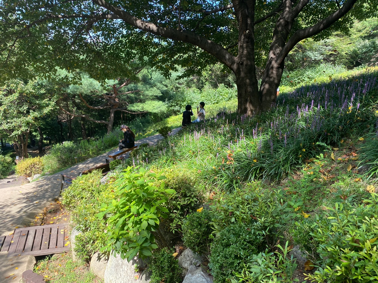 서대문구 산책로