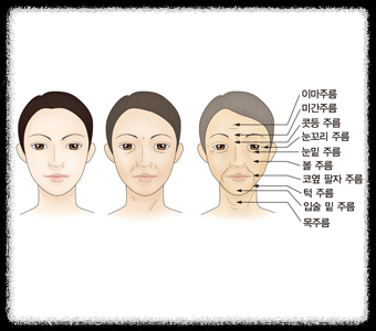  피부노화