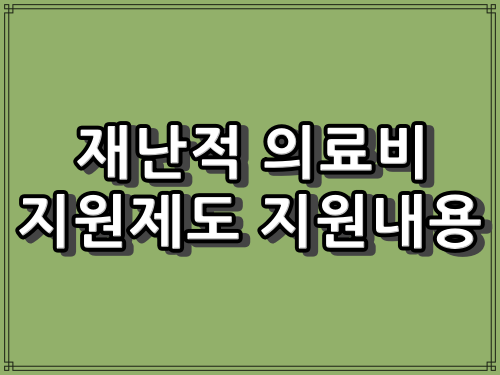 재해시 의료비 지원