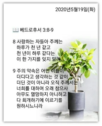 베드로후서 3장 9절 묵상 - 주의 약속은 어떤 이들이 더디다고 생각하는 것 같이 더딘 것이 아니라_16
