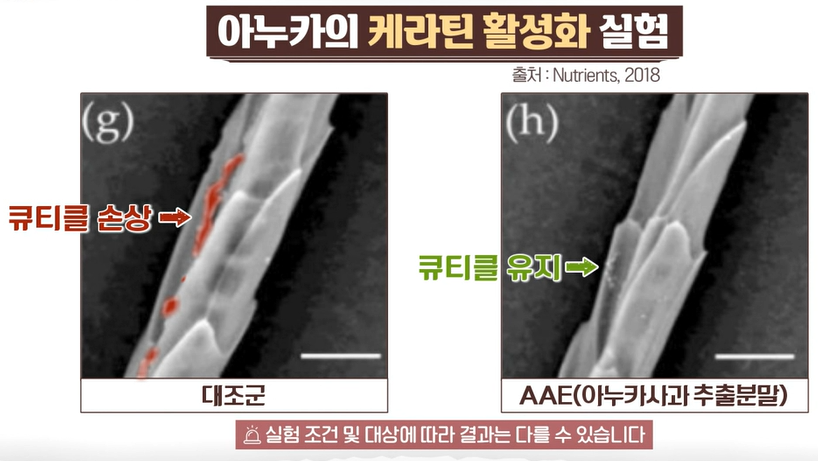 아누카사과효능