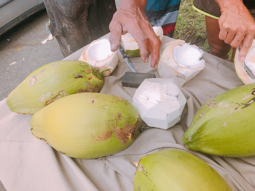 괌 솔레다드요새 코코넛사시미