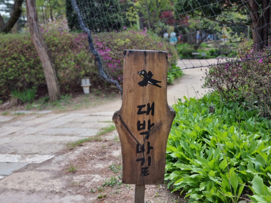 남이섬 배시간표 남이섬 배시간표, 할인 방법, 85