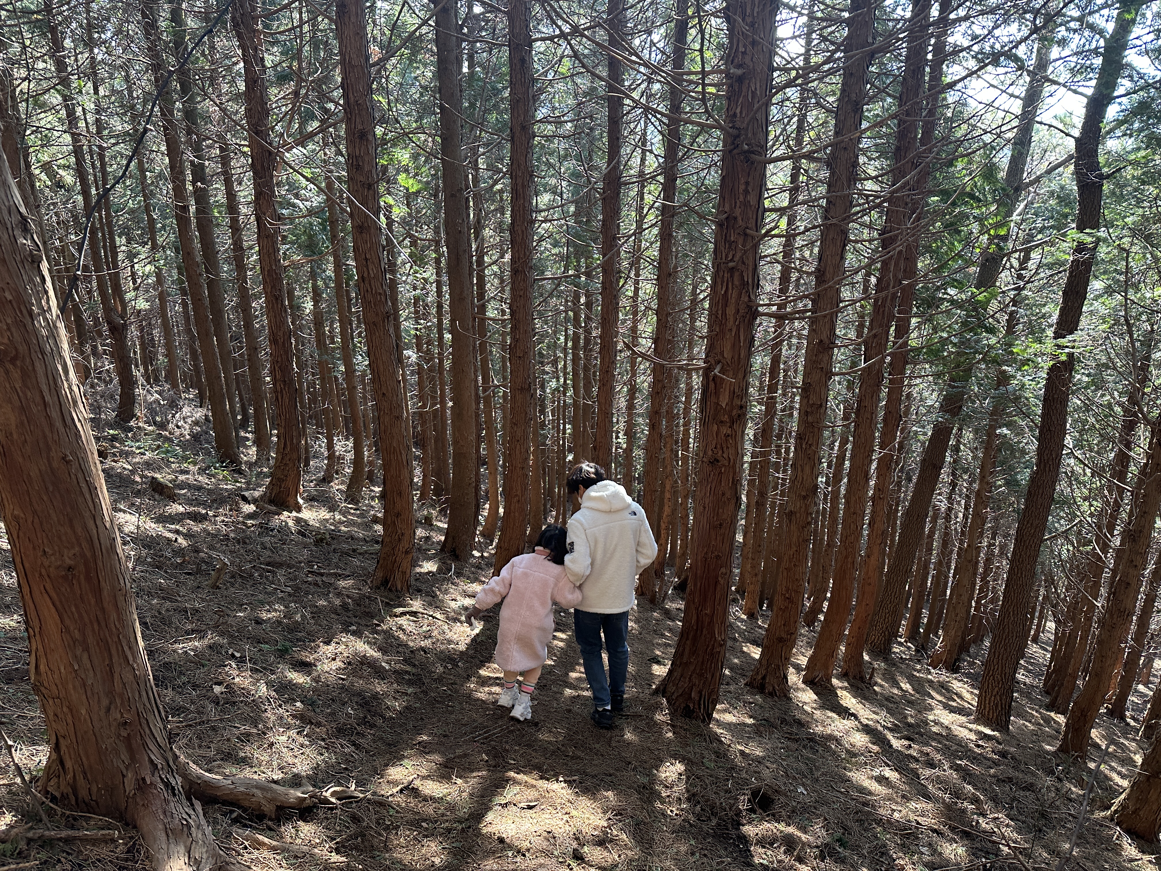 [제주 동쪽 오름 추천]제주도 조천 가볼만한 곳 바농오름 소요시간 주차장