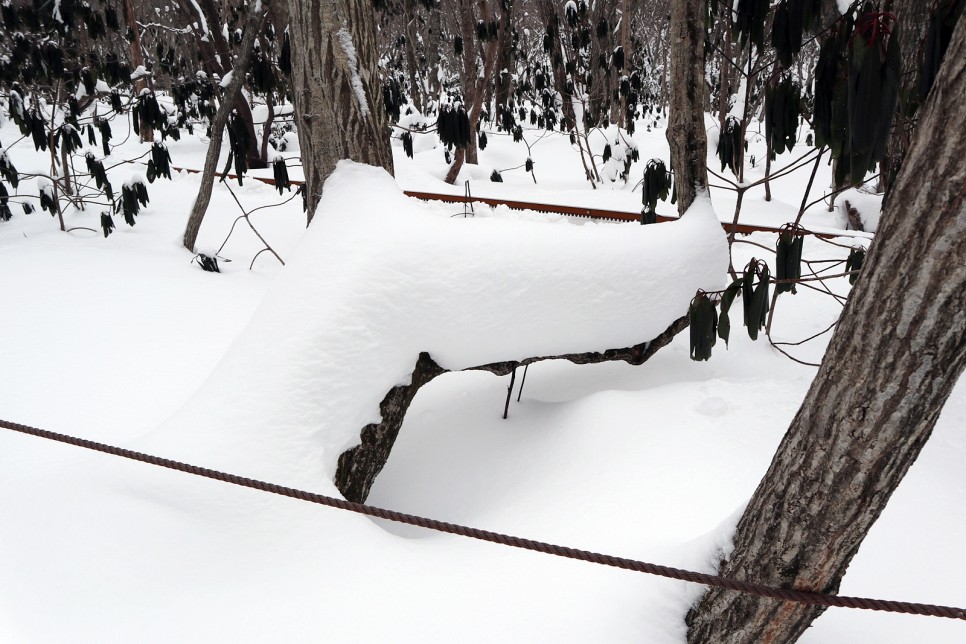 눈쌓인 겨울산 이미지 8