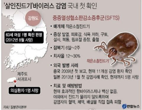 쯔쯔가무시 증상