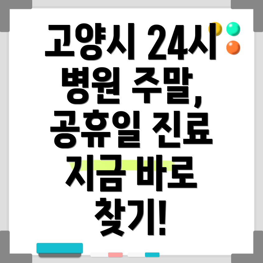 고양시 덕양구 24시 병원